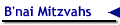 B'nai Mitzvahs